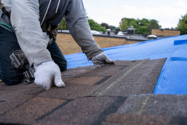 Roof Gutter Cleaning in Highland City, FL