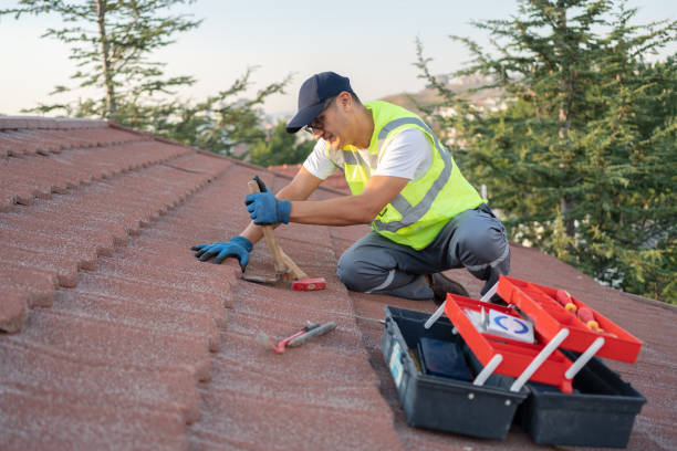 Best Flat Roof Repair Services  in Highland City, FL