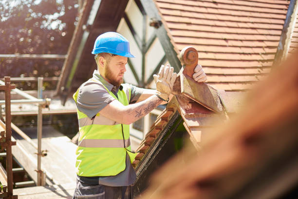 Best Roof Gutter Cleaning  in Highland City, FL